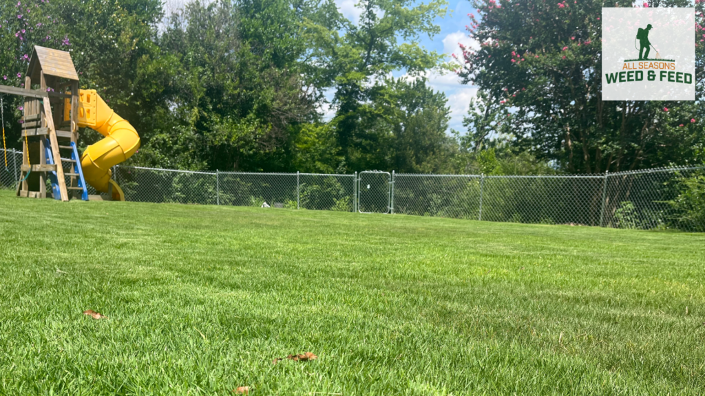 Beautiful green grass in a yard treated by All Season's Weed & Feed Birmingham, Alabama (205) 902-8737