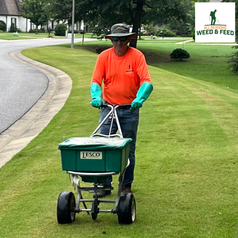 Professional technician performing Birmingham Alabama weed control and fertilization using a spreader on a manicured residential lawn for All Seasons Weed & Feed.