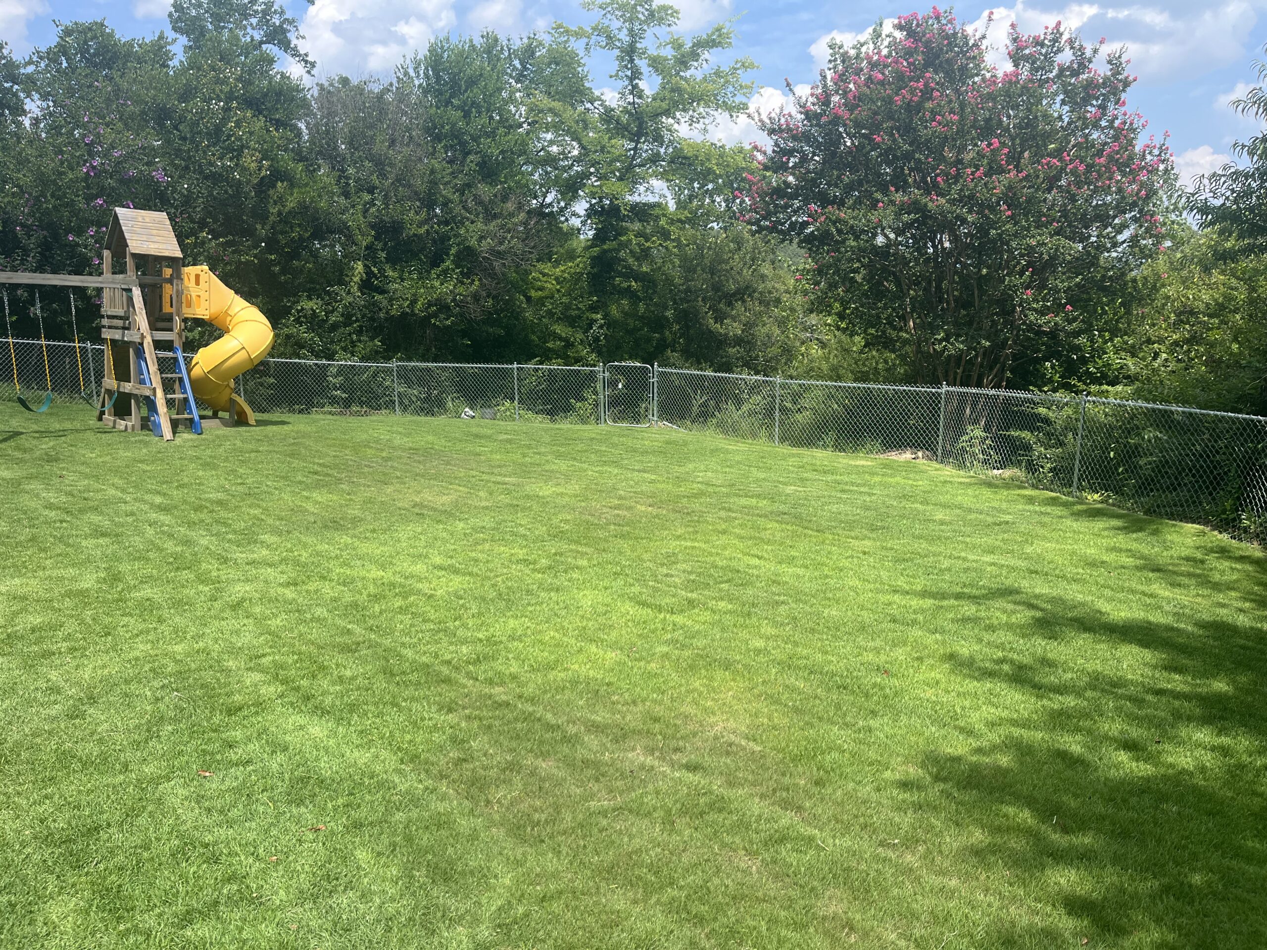 A lush, green backyard lawn in Birmingham, AL, showing the results of professional weed control and fertilization by All Seasons Weed & Feed, featuring a clean play area and vibrant landscaping.